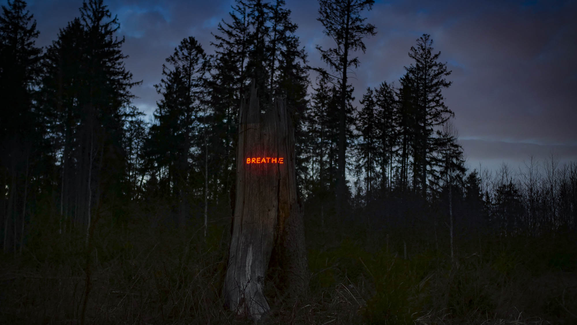 Philipp Frank -artists- künstler - New media - light art - projection - mapping - installation - in  -nature - art -neon,