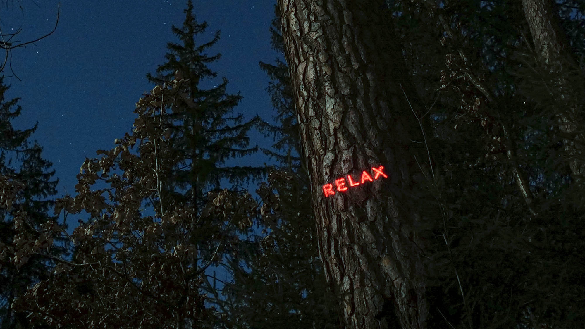 Philipp Frank Philipp Frank -artists- künstler - New media - light art - projection - mapping - installation - in  -nature - art -neon,