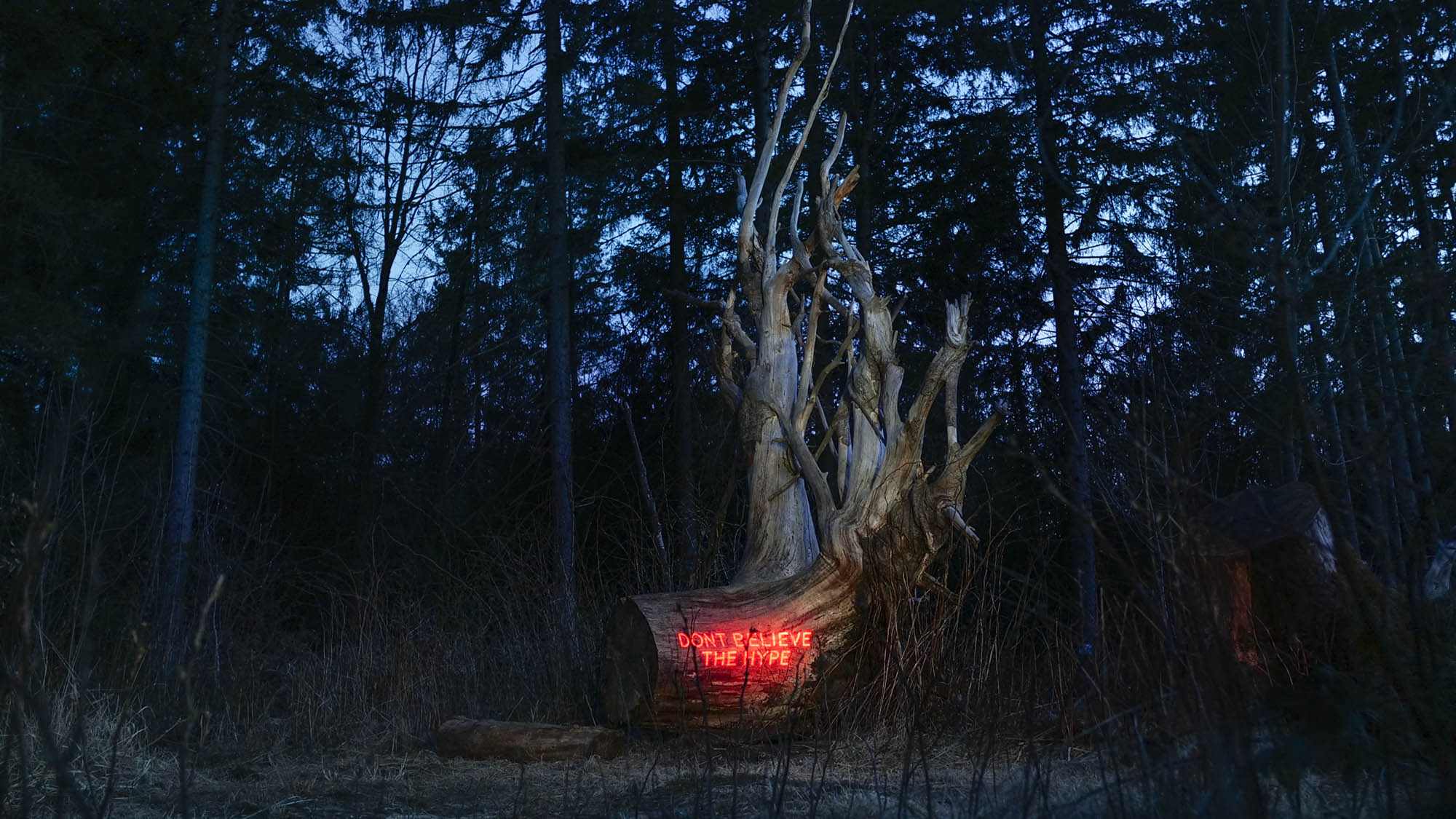 Philipp Frank -artists- künstler - New media - light art - projection - mapping - installation - in  -nature - art -neon,