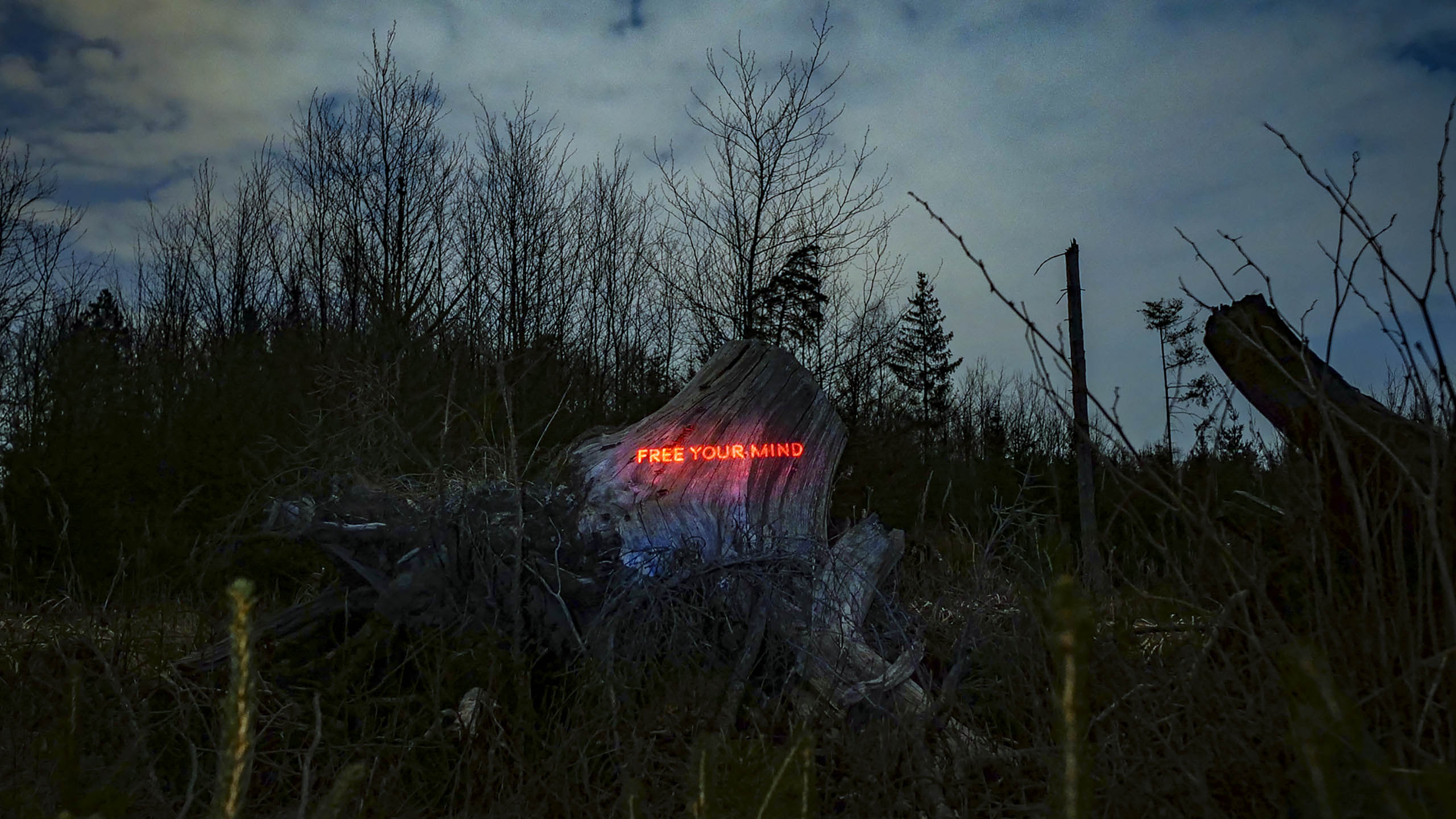 Philipp Frank -artists- künstler - New media - light art - projection - mapping - installation - in  -nature - art -neon,