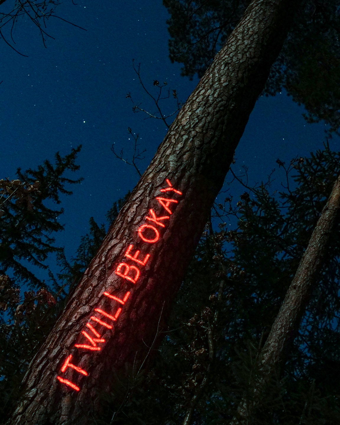 Philipp Frank-Message from the Forest-Neon-light-art-Philipp Frank -artists- künstler - New media - light art - projection - mapping - installation - in  -nature - art -neon,