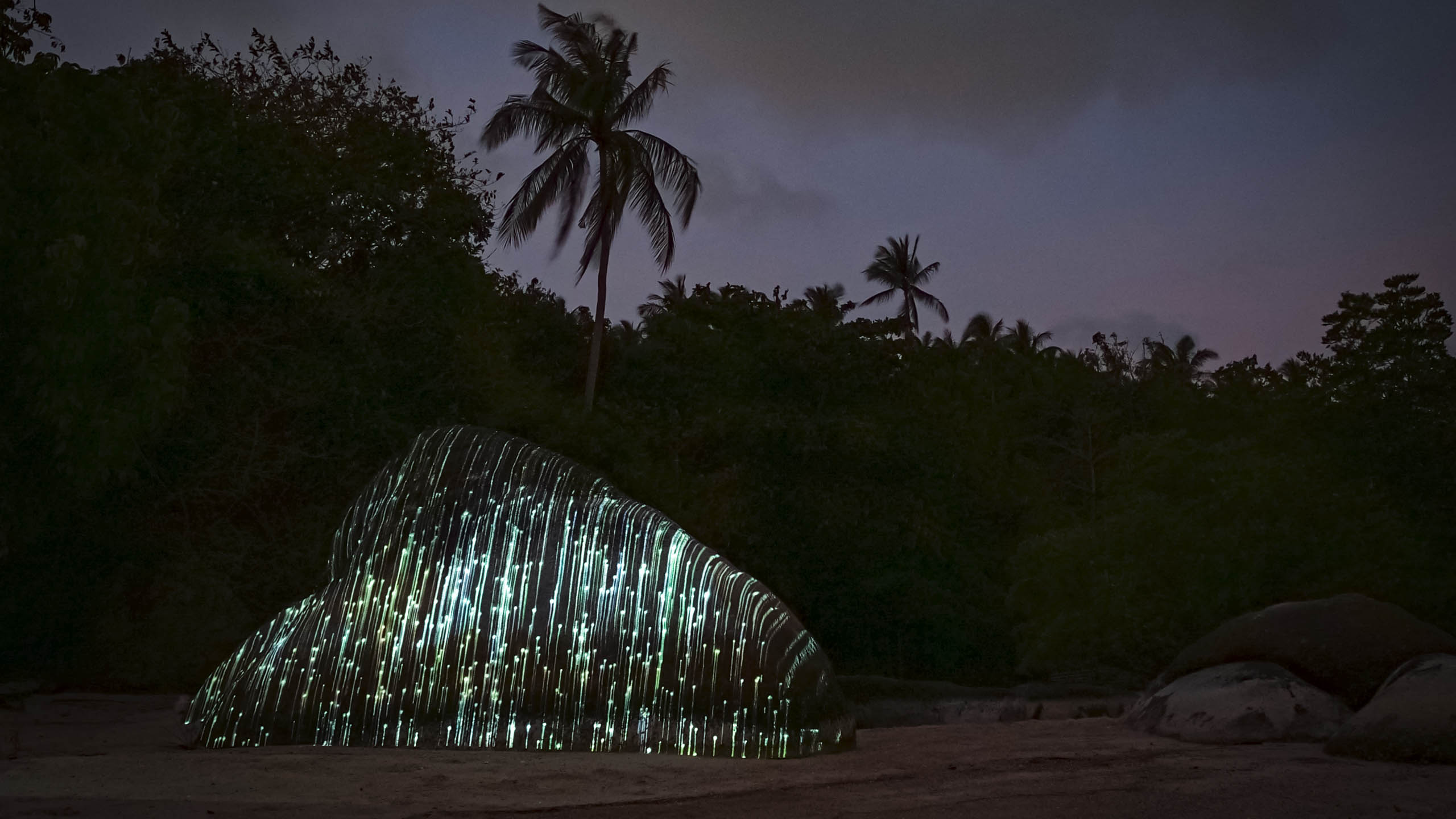 Nature Light Installation Philipp Frank