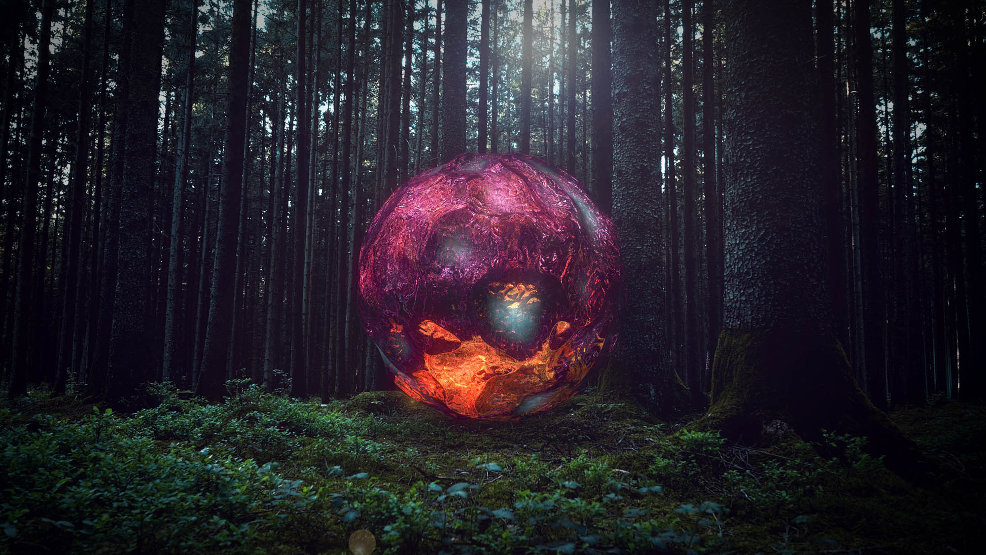 Forest Portal NFT Art Philipp Frank