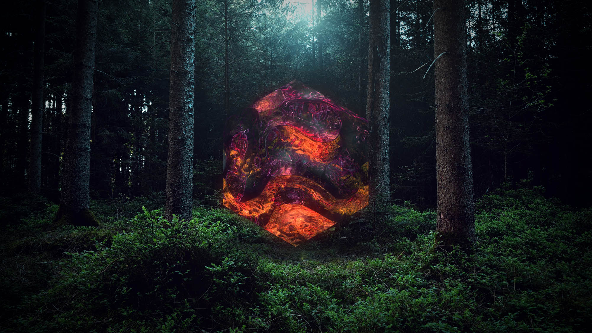 Forest Portal NFT Art Philipp Frank