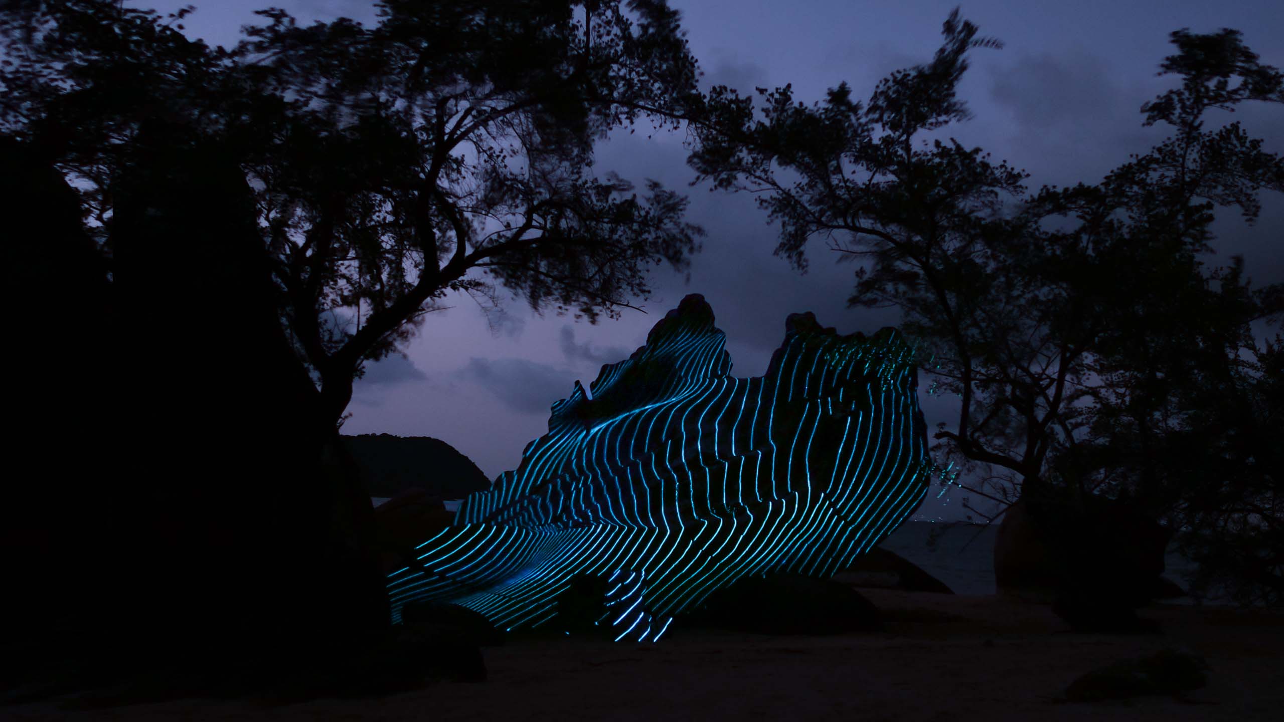 Nature-Projection-Mapping_03