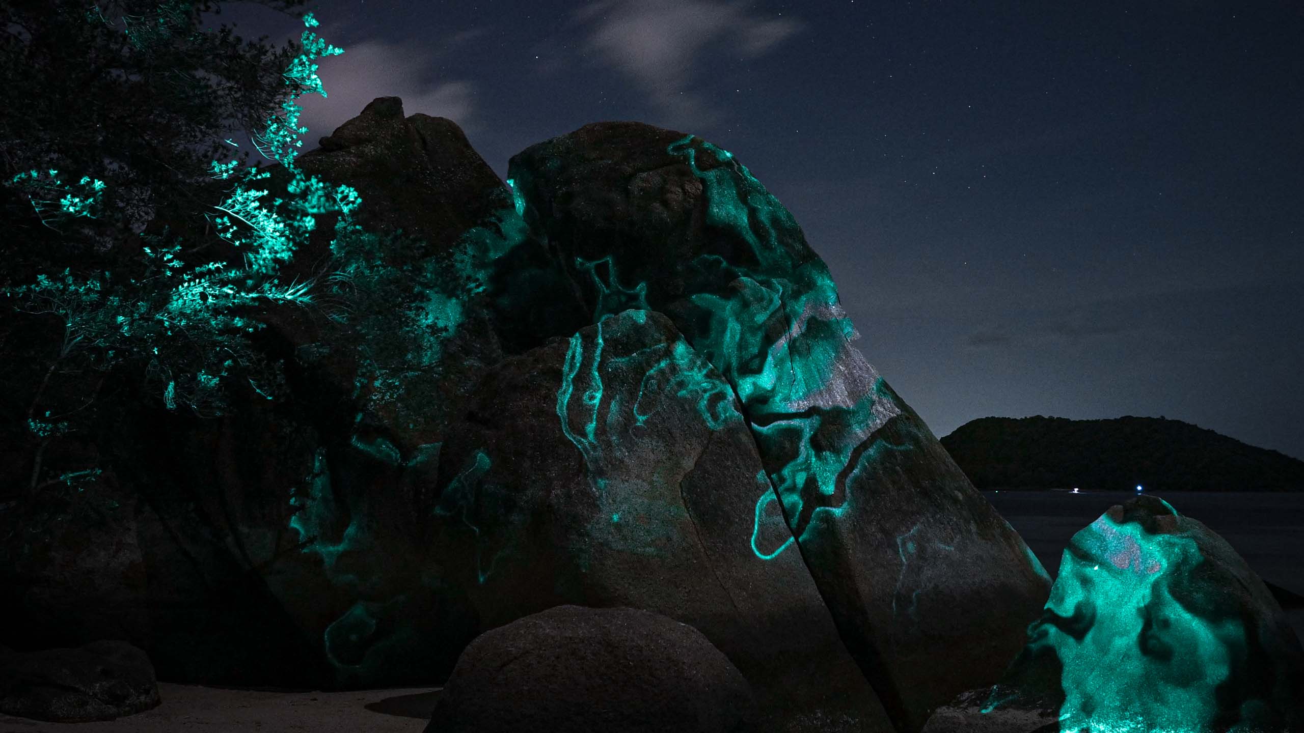 Nature-Projection-Mapping_05
