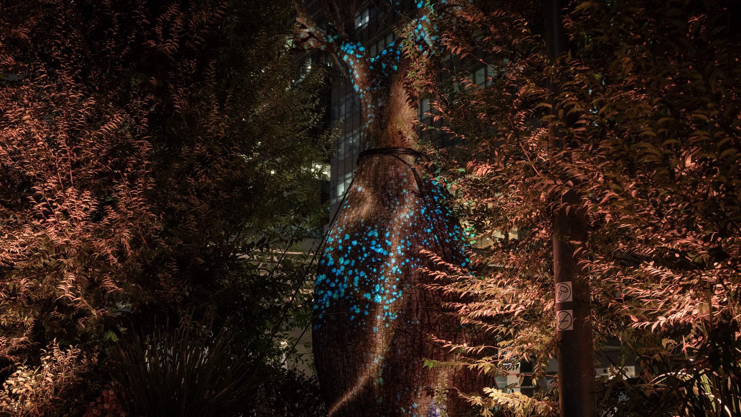 Permanent outdoor light artwork on trees at The Henderson Hong Kong by Philipp Frank